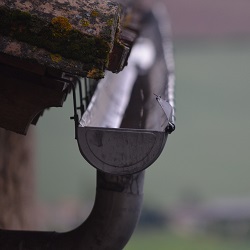 Gutter Services